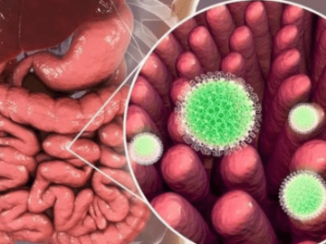 Government Measures to Control Diarrhoea - 25 Strategies