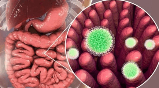 Government Measures to Control Diarrhoea – 25 Strategies