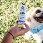 Did You Know Dogs Have Endocannabinoid Systems Too!