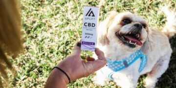 Did You Know Dogs Have Endocannabinoid Systems Too!