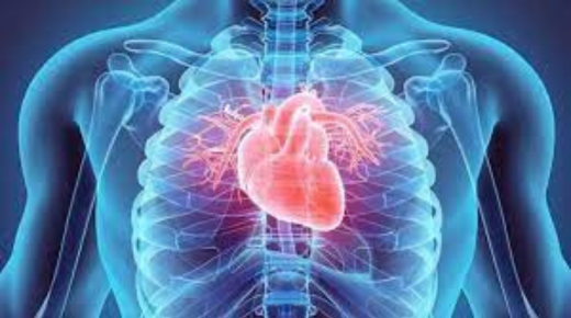 Finding the Best Gastroenterologist in Bangalore for Your Digestive Health