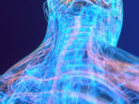 NeuroReformer