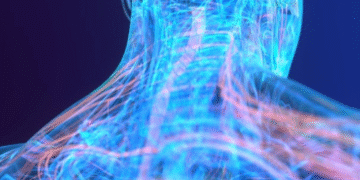 NeuroReformer