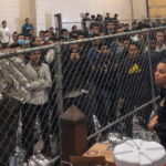 Immigration Habeas Lawyer