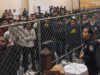 Immigration Habeas Lawyer