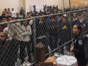 Immigration Habeas Lawyer