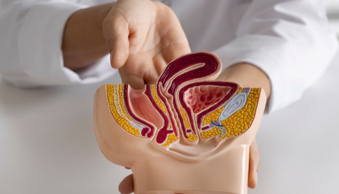 Finding the Right Urologist in Bangalore: Your Guide to Expert Urological Care